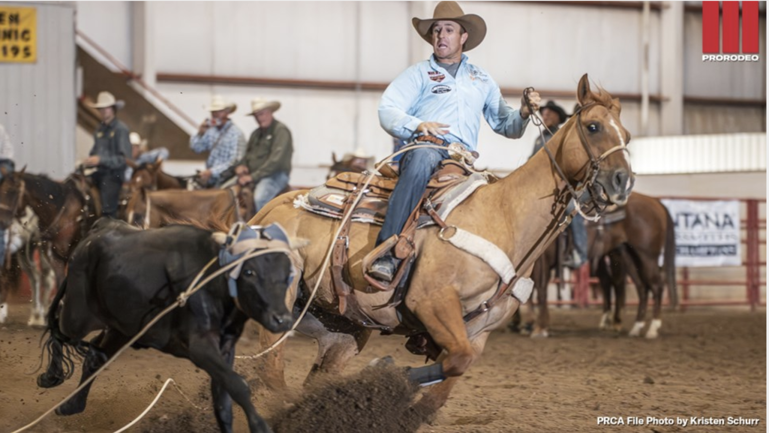 Steering By Ropes Top steer ropers take aim at National Circuit Finals Steer Roping title ...