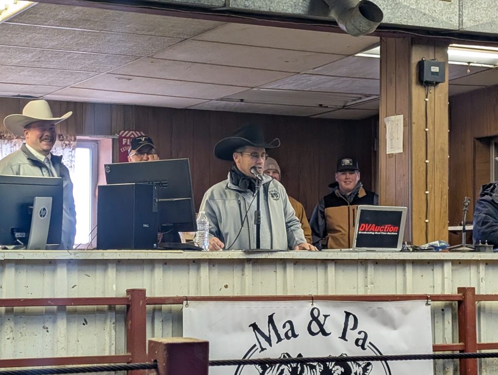 Angus Riley Pa Ma & Pa Angus Annual Bull Sale | TSLN.com