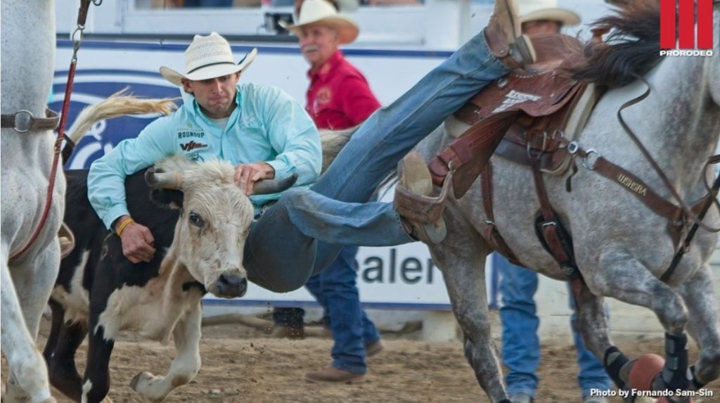 Steer wrestler Traver Johnson gets on winning track at Redding (Calif ...