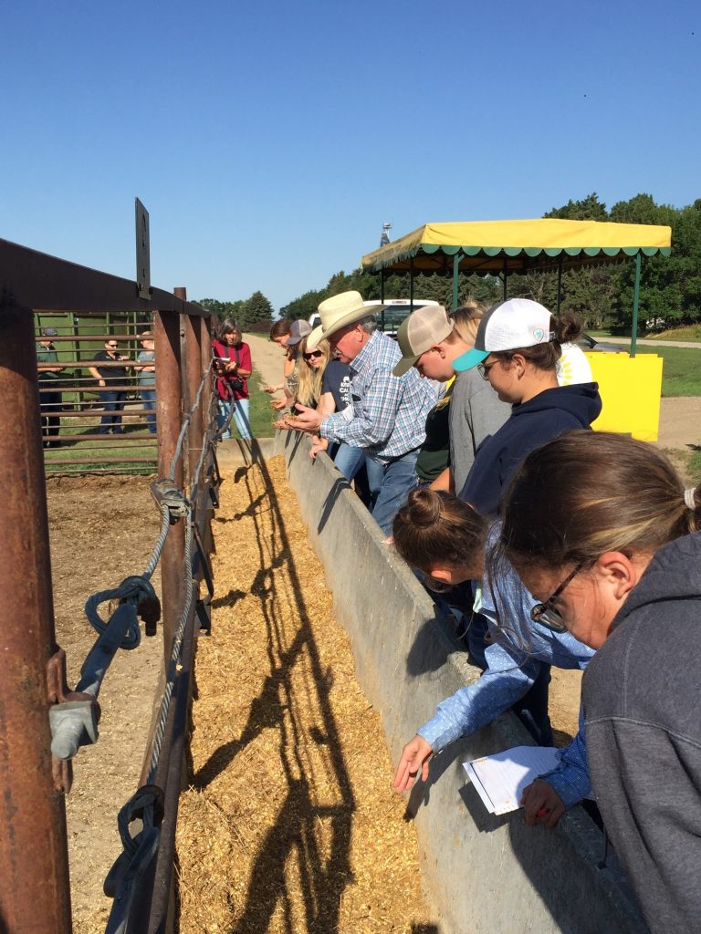 NDSU Extension sets youth beef producers workshop for June 9
