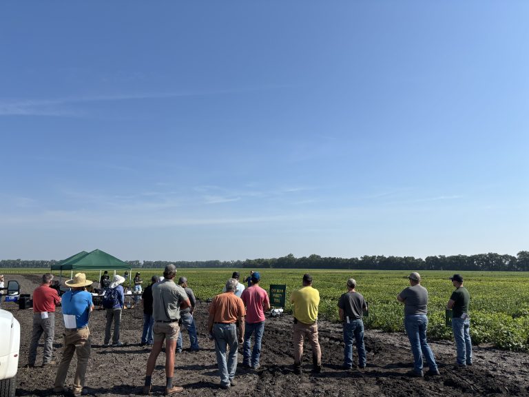 NDSU Extension to host July dry bean field days in Forest River and ...