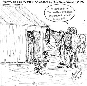 Outtagrass Cattle Company