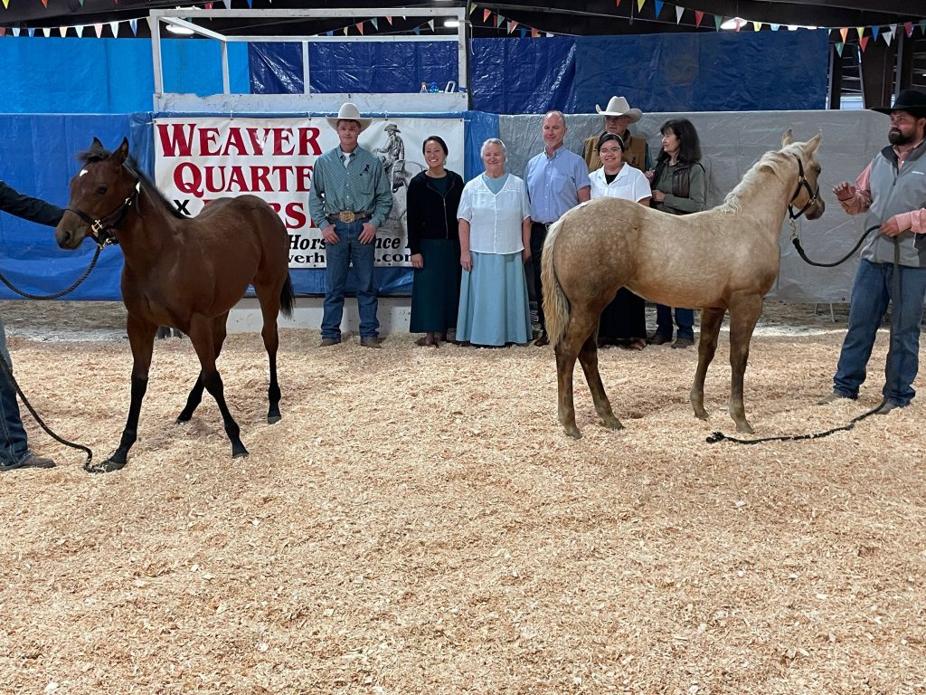 Weaver Quarter Horses | TSLN.com