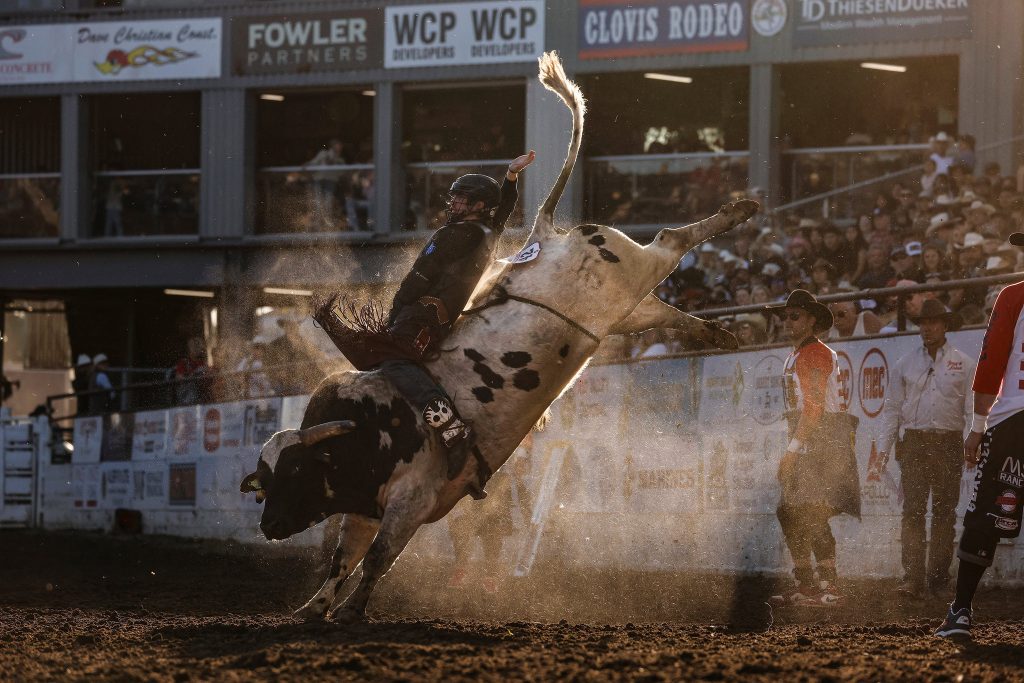 邦楽 THE RODEO SWANKYS 邦楽 THE RODEO SWANKYS RODEO SWANKYS 邦楽