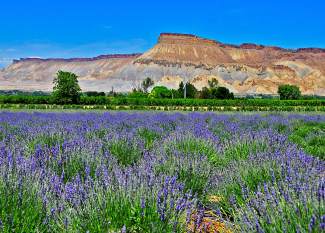 Today’s top five things to do in Summit County | SummitDaily.com