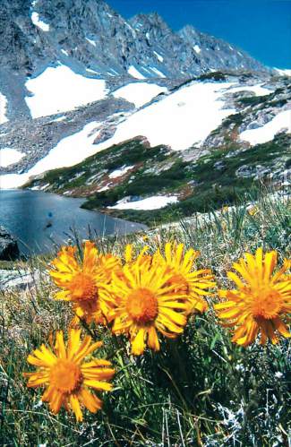 Today’s top five things to do in Summit County | SummitDaily.com
