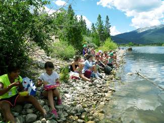 Meet Your Forest: Getting to know your FDRD forest stewards ...