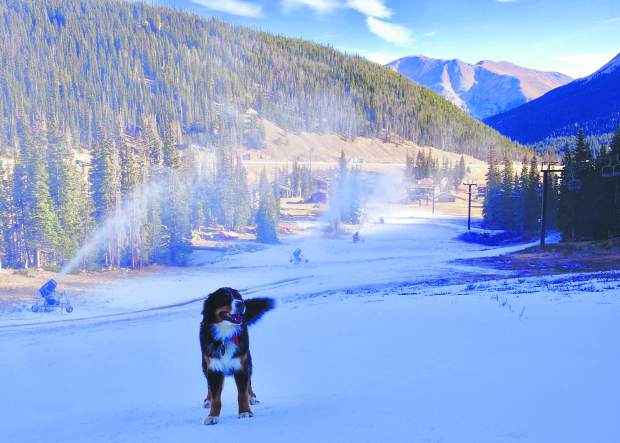 Snow guns at Loveland Ski Area blow around a ski patrol dog for the first time in two weeks early on the morning of Nov. 1. Due to above-average temperatures across the state, Loveland, Keystone and Wolf Creek have delayed their opening days.