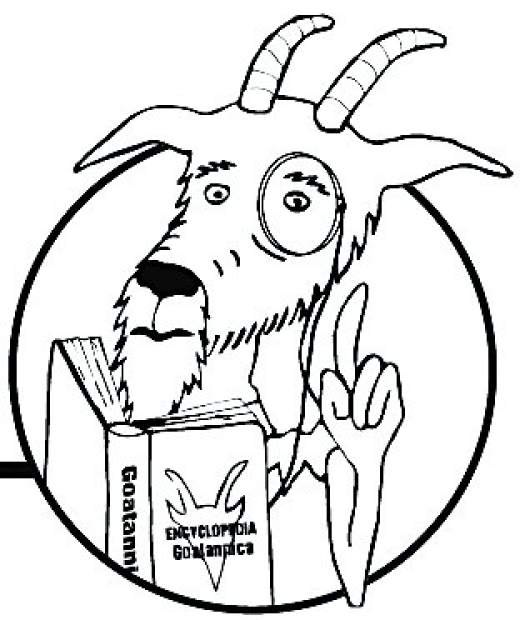 Quandary Overnight parking in Summit County