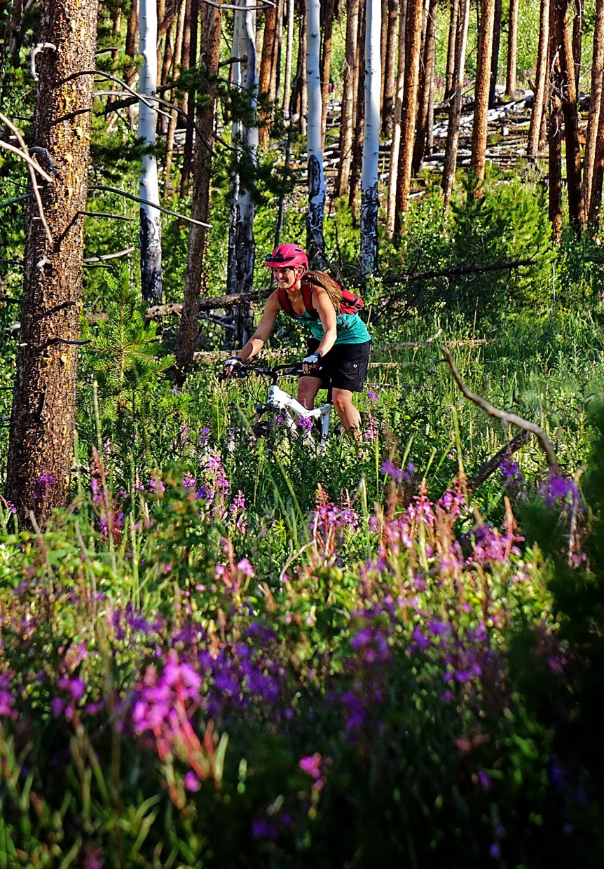 The Frey Gulch Road portion of the 