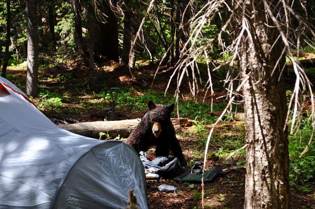 How “Tents” Worked: Structure, Ritual, and Identity