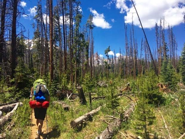 Rock Creek, Slate Creek and a few other unnamed streams were water sources along the second half of the Gore Range Trail. WIthout much shade in the pine forests, refilling water was crucial to successful hiking on the Gore Trail.