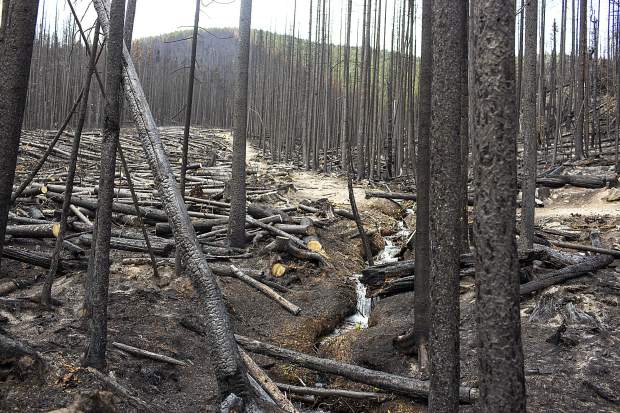 Blue River Watershed Group gives final wildfire action plan presentation