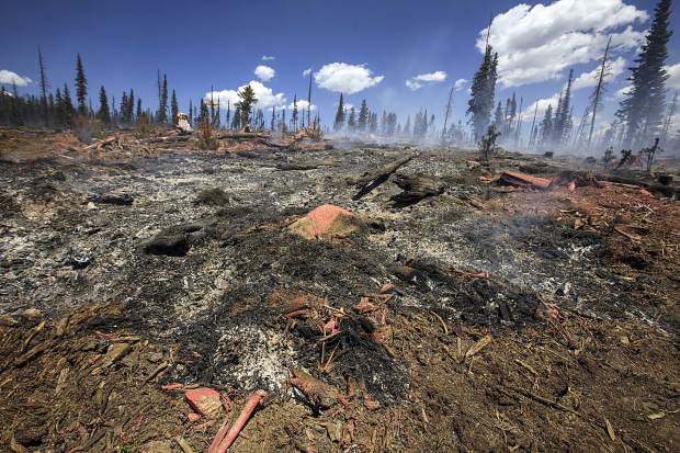 The ground continues to burn as a result from the Buffalo Fire in the Wildernest neighborhood Wednesday, June 13, near Silverthorne.