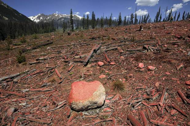 The ground continues to burn as a result from the Buffalo Fire in the Wildernest neighborhood Wednesday, June 13, near Silverthorne.