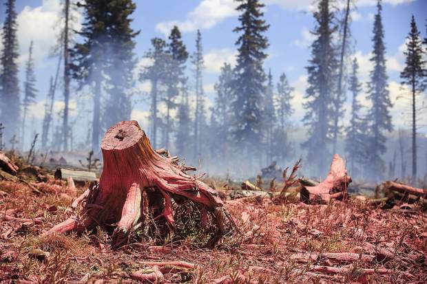 Stumps and other older logs is covered in flame retardant materials dropped in by aircraft at the Buffalo Fire site Wednesday, June 13, near Silverthorne.