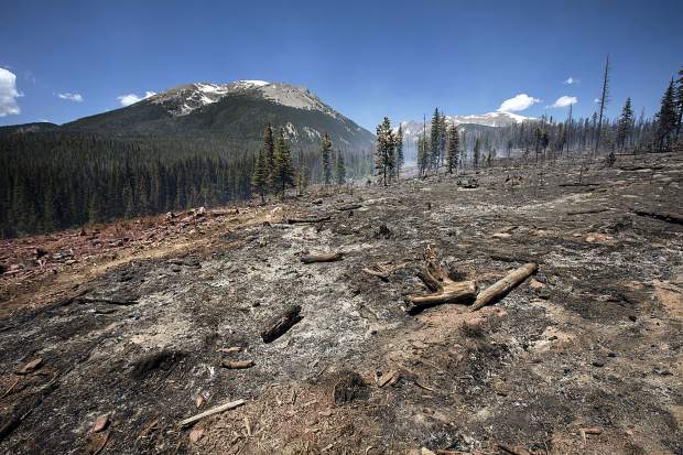 The ground continues to burn as a result from the Buffalo Fire in the Wildernest neighborhood Wednesday, June 13, near Silverthorne.