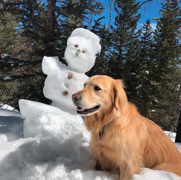 @madelinepricee on Instagram using #ExploreSummit.