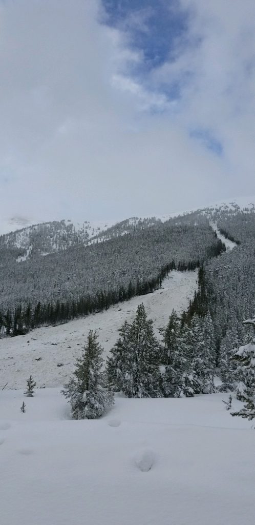 A look at the avalanche path that dumped 15 feet of snow on C0 91 near Copper Mountain, trapping multiple cars in the slide. 