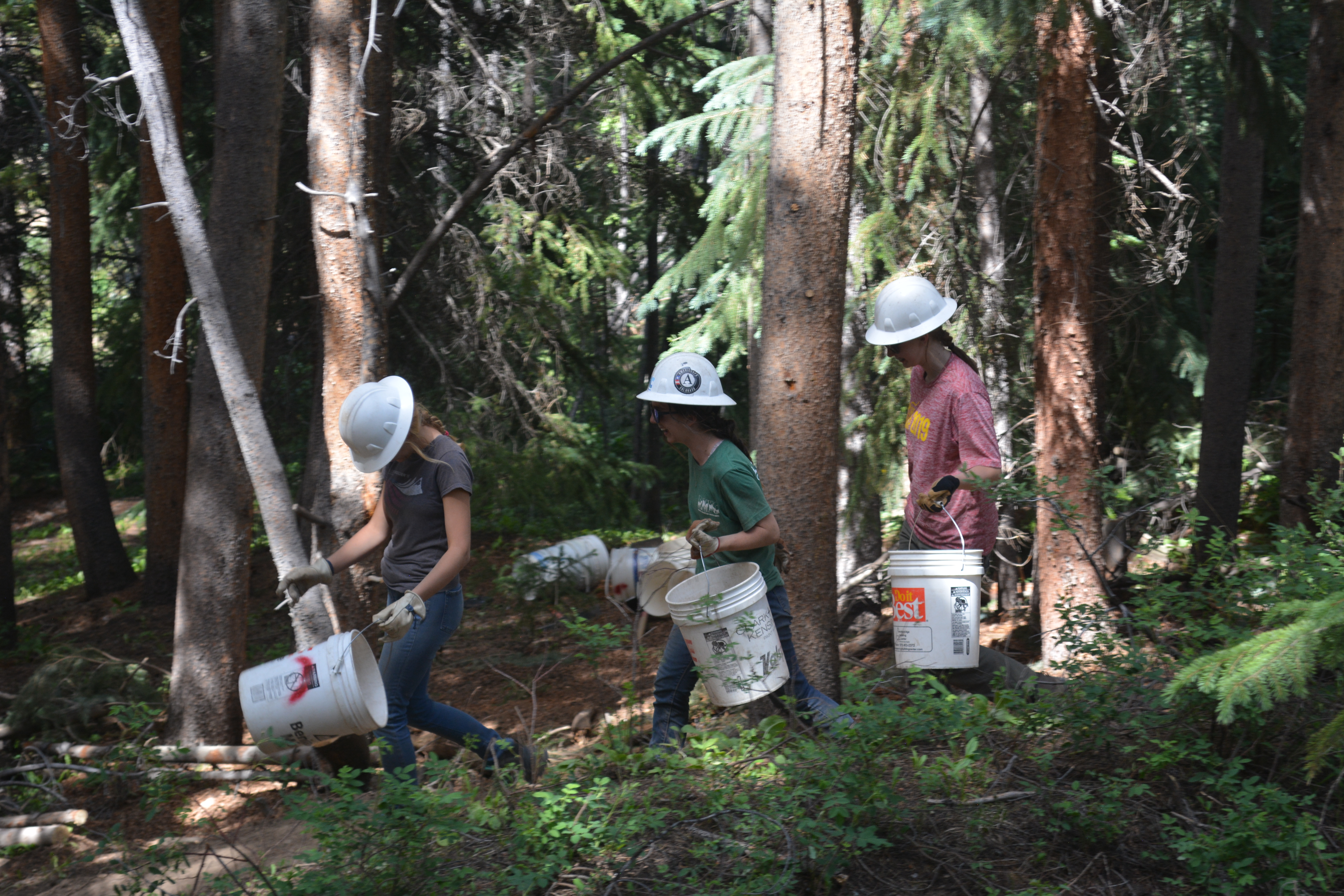 Conservation fund supported by skier donations to support U.S. Forest ...