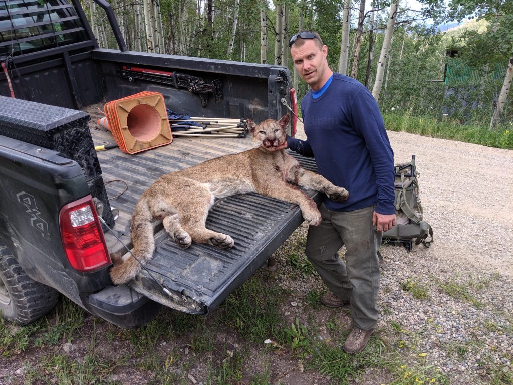 Evergreen man who fought mountain lion with pocketknife, rocks wishes(02)