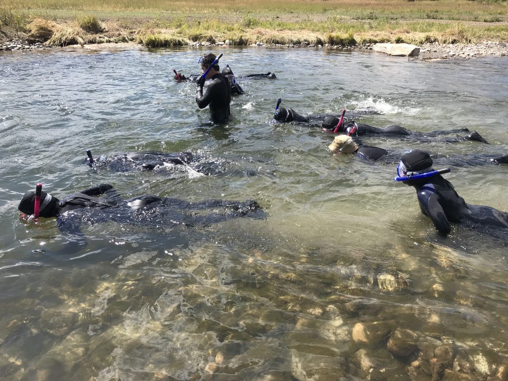 Summit High School biology students worked with U.S. Forest Service fisheries biologists and Blue Valley Ranch to survey fish and macroinvertebrate populations in the Blue River.