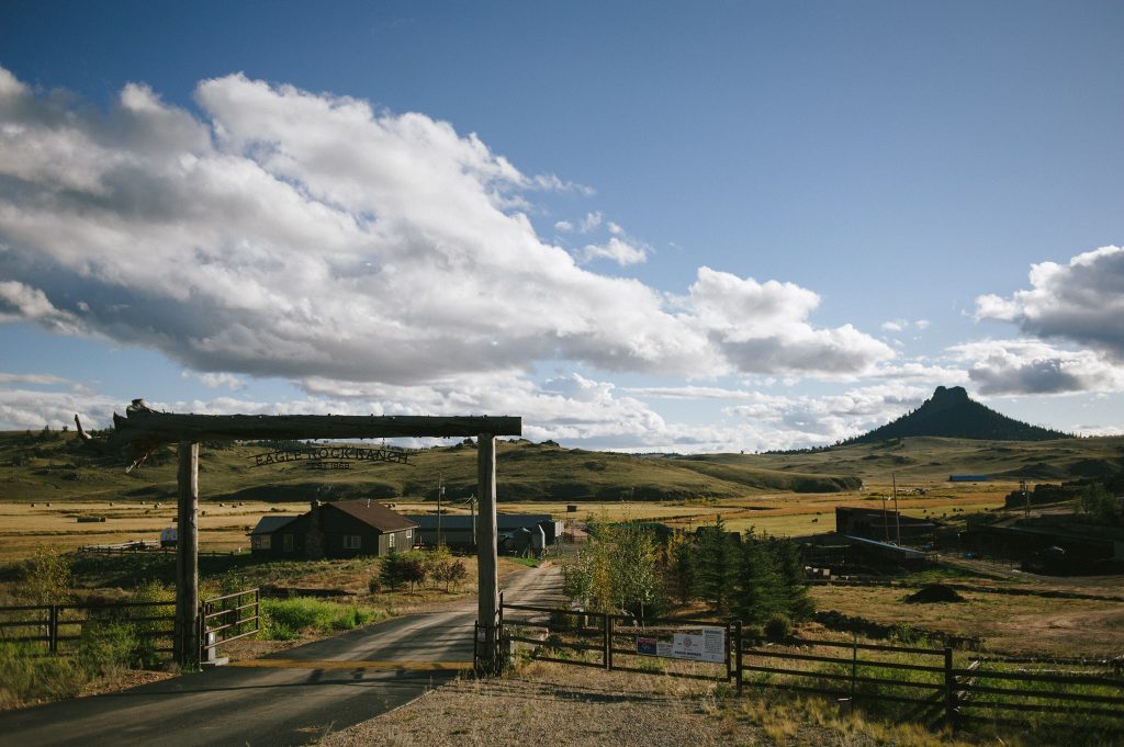 Local cattle ranch provides direct-to-consumer beef to Summit County ...