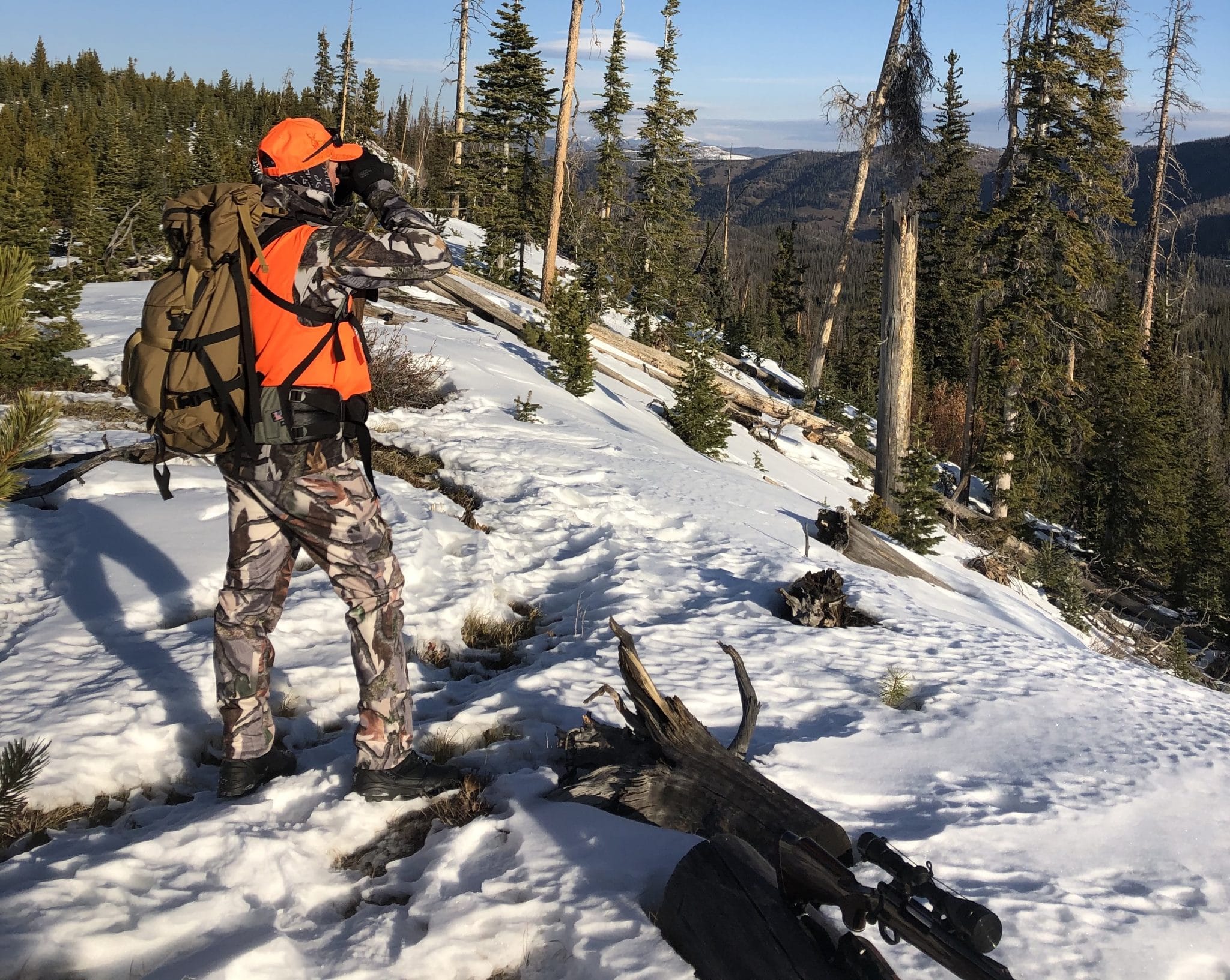 Leftover biggame hunting licenses on sale