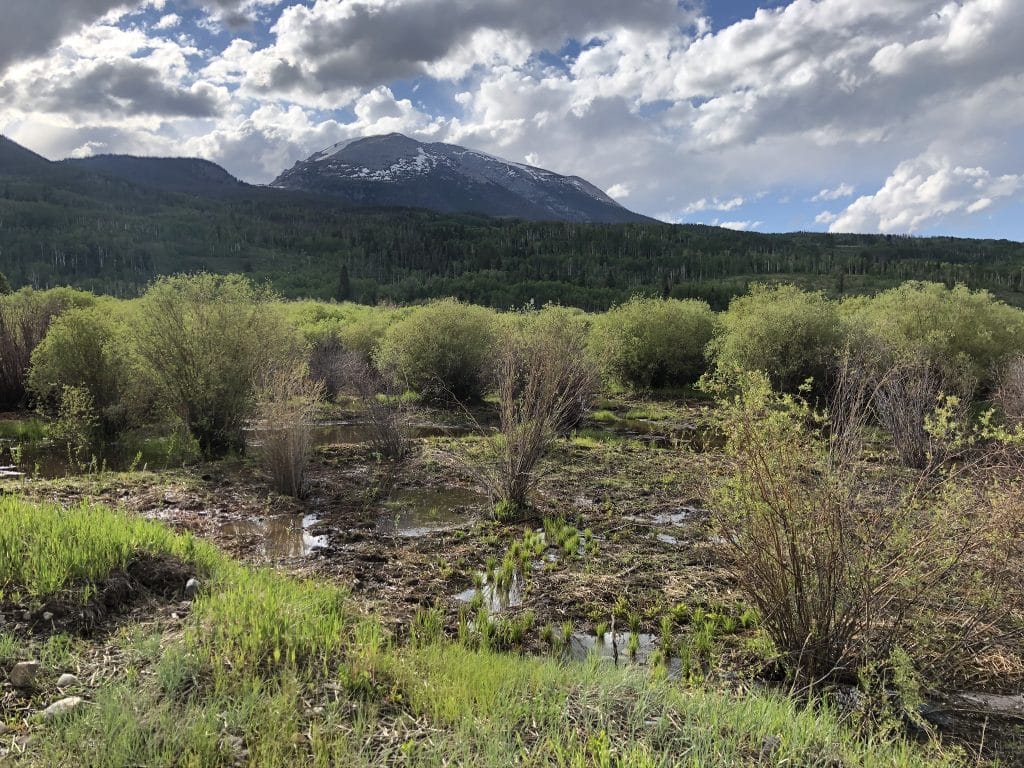 Frisco cuts ribbon on Meadow Creek conservation easement