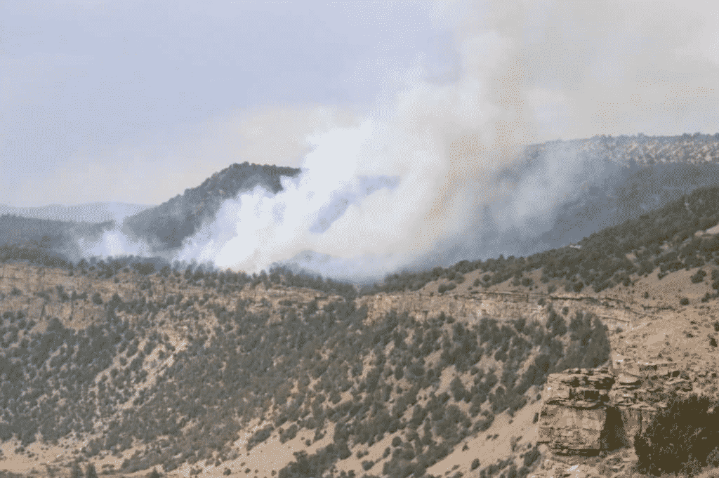 Wildland fire breaks out in Wolcott, crews responding