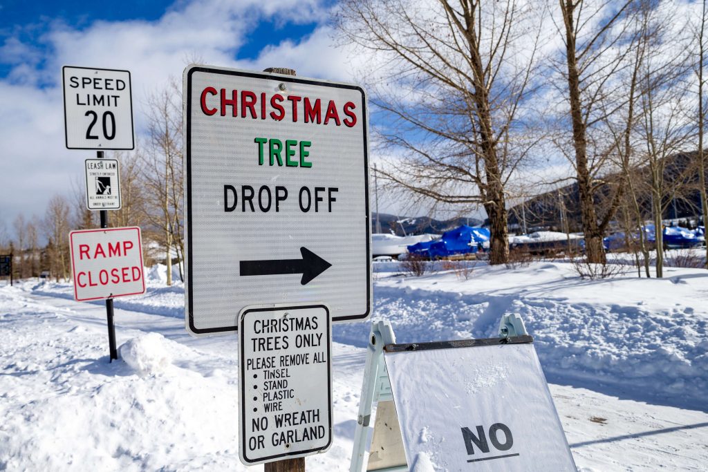 Drop off your old Christmas trees to fuel the Spontaneous Combustion