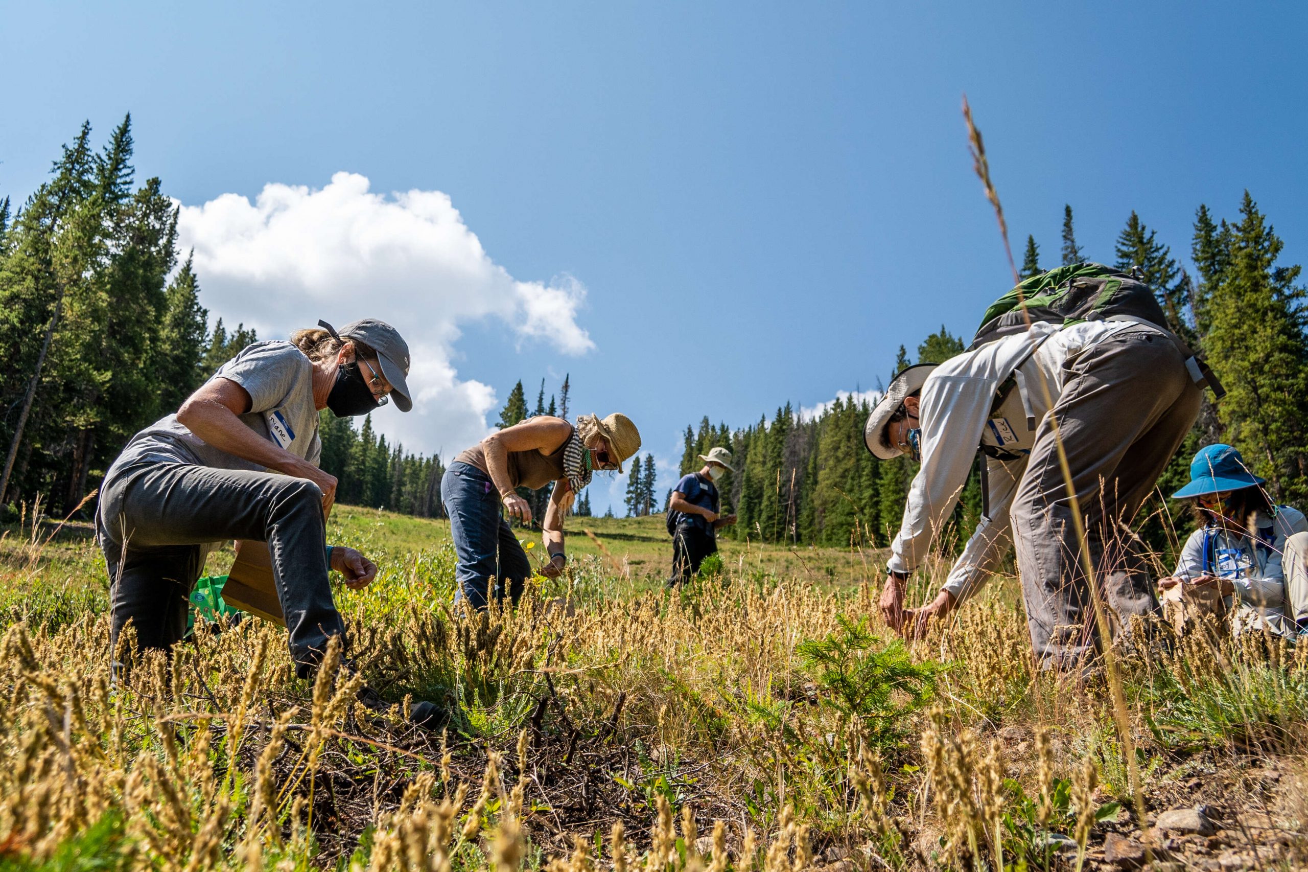Copper Mountain owner Powdr seeks to share insights from awardwinning