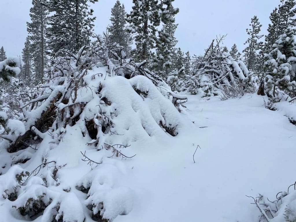 What you should know about the 90acre Wellington pile burn in Breckenridge