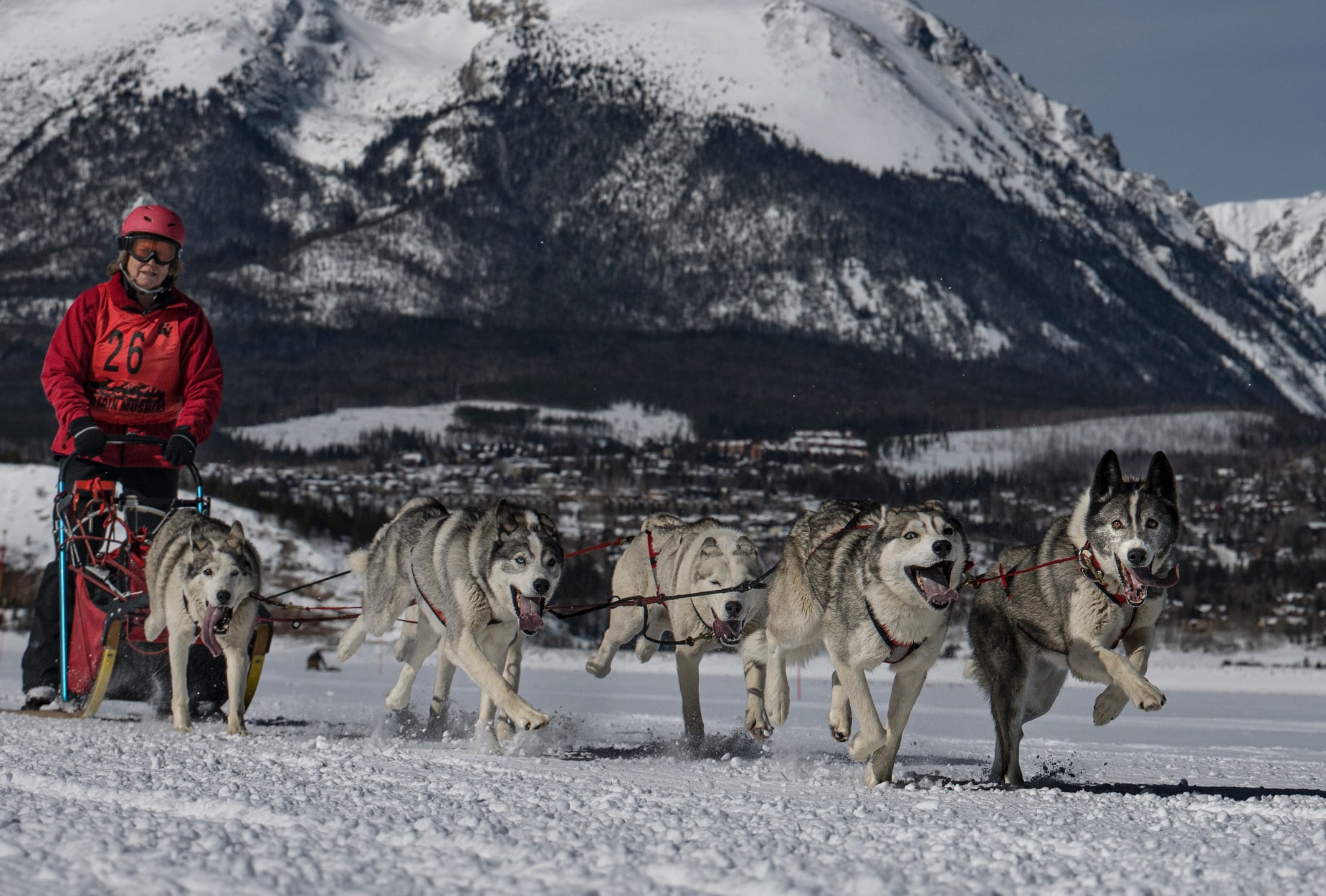 Winter events on the Dillon Reservoir include expanded dog sled races, backtoback weekends of