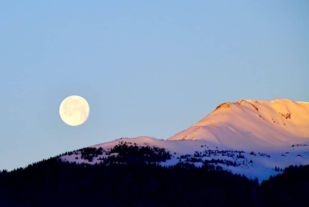 Get Wild: Our lives are measured by the Moon - Vimarsana News