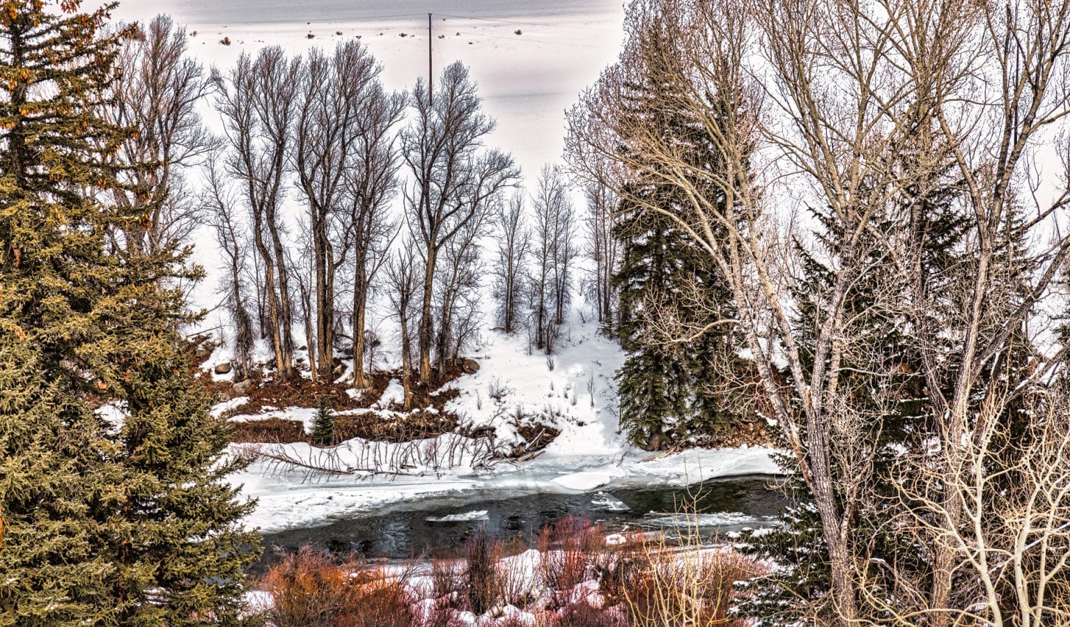 State renaming board approves Nuchu Creek as new name for Squaw Creek