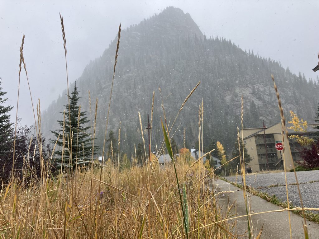 Fire danger drops to low in Summit County, but officials warn not to get complacent as wildfire season is not over yet - Vimarsana News