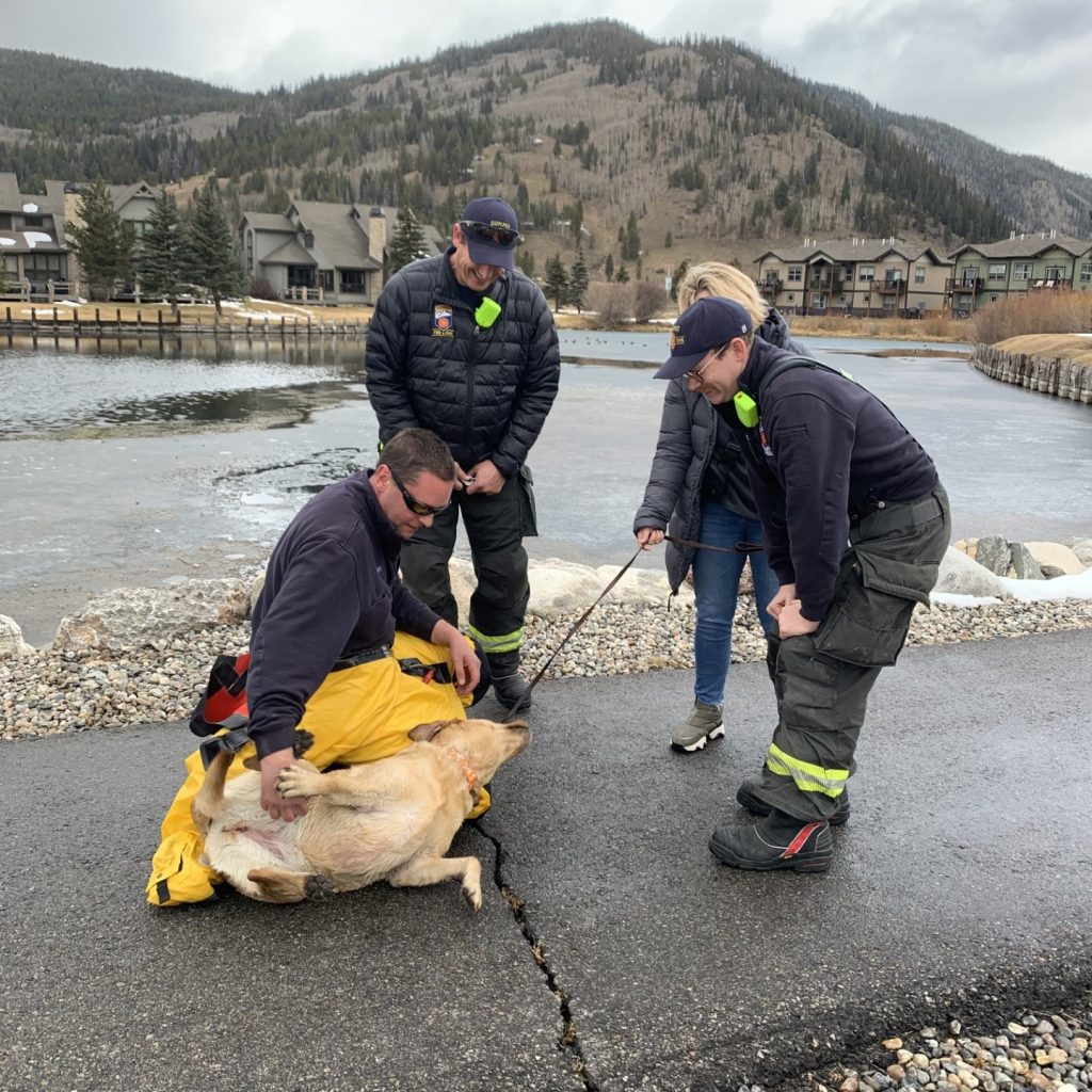 Bystander rescues dog that fell through early season ice in Colorado - Vimarsana News