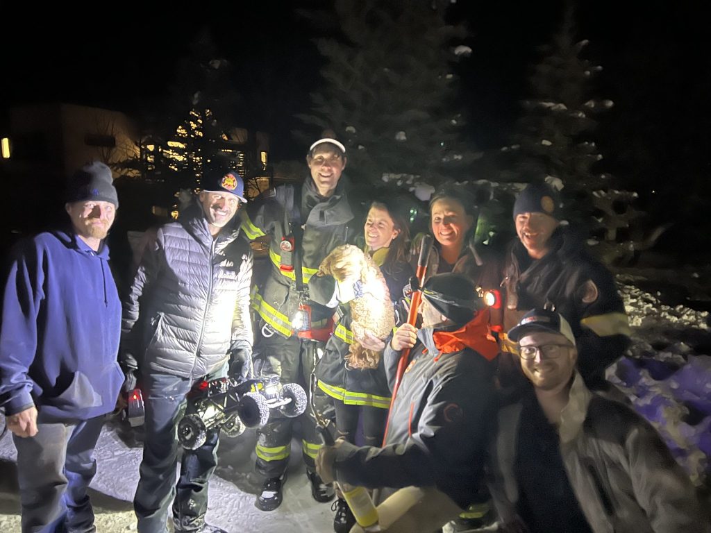 Aspen Fire Department displays 'holiday heroics' with two dog rescues in two days - Vimarsana News