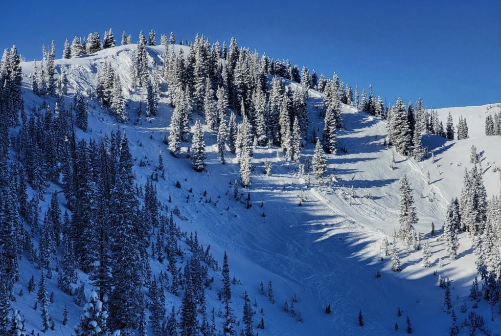 Erratic snowfall this winter has ramped up risk in Colorado's backcountry - Vimarsana News