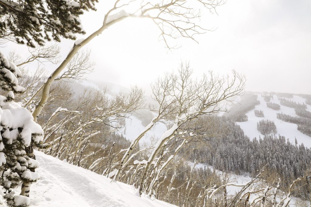 2 Colorado resorts record 20-plus inches through weekend storm