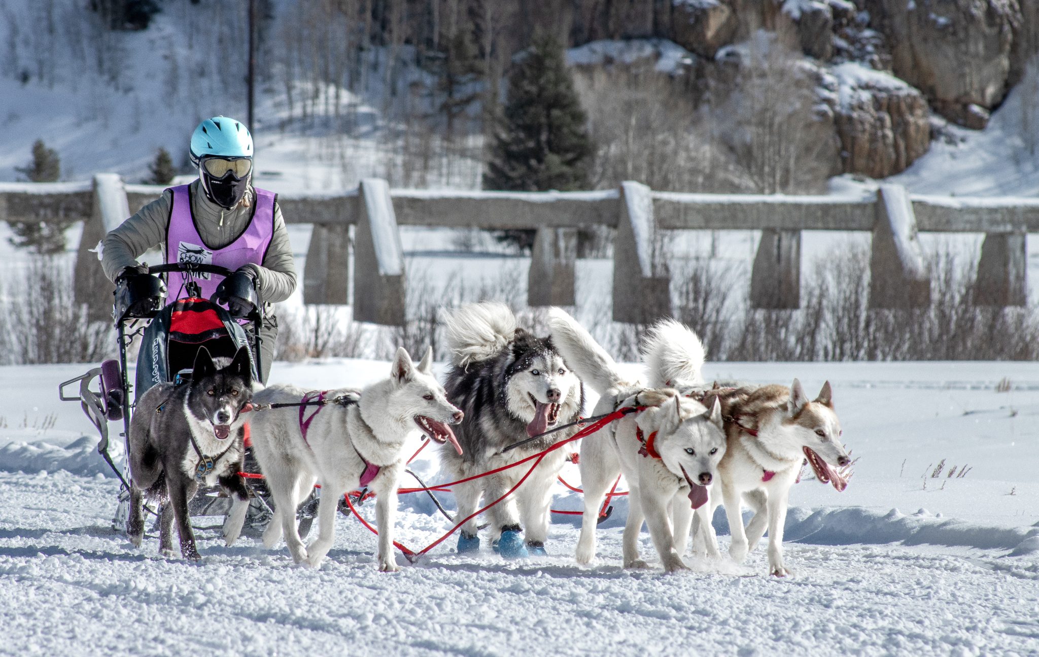 After 23 years, dog sled race returns to Camp Hale