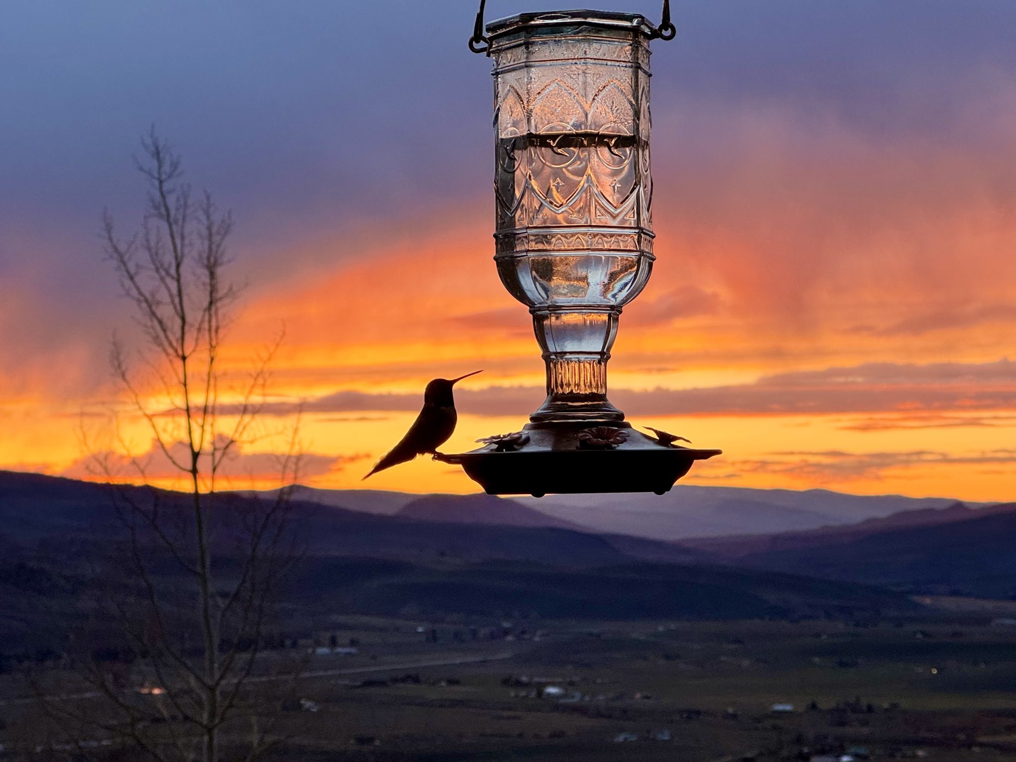 photos-spring-is-settling-into-summit-county-summitdaily
