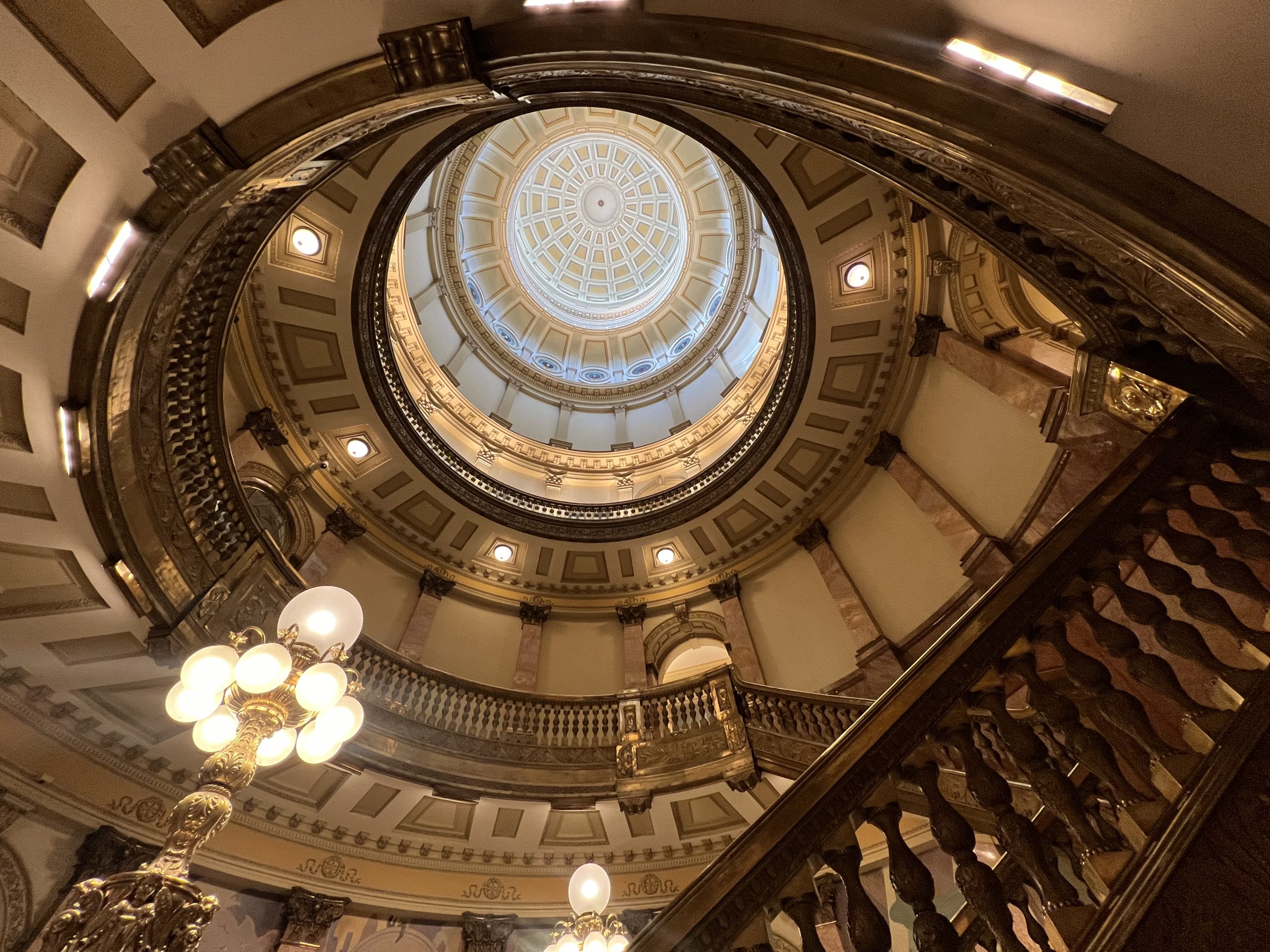 Wolves Roughhousing Colorado’s Western Slope lawmakers eye bills on housing, wolves, worker ...