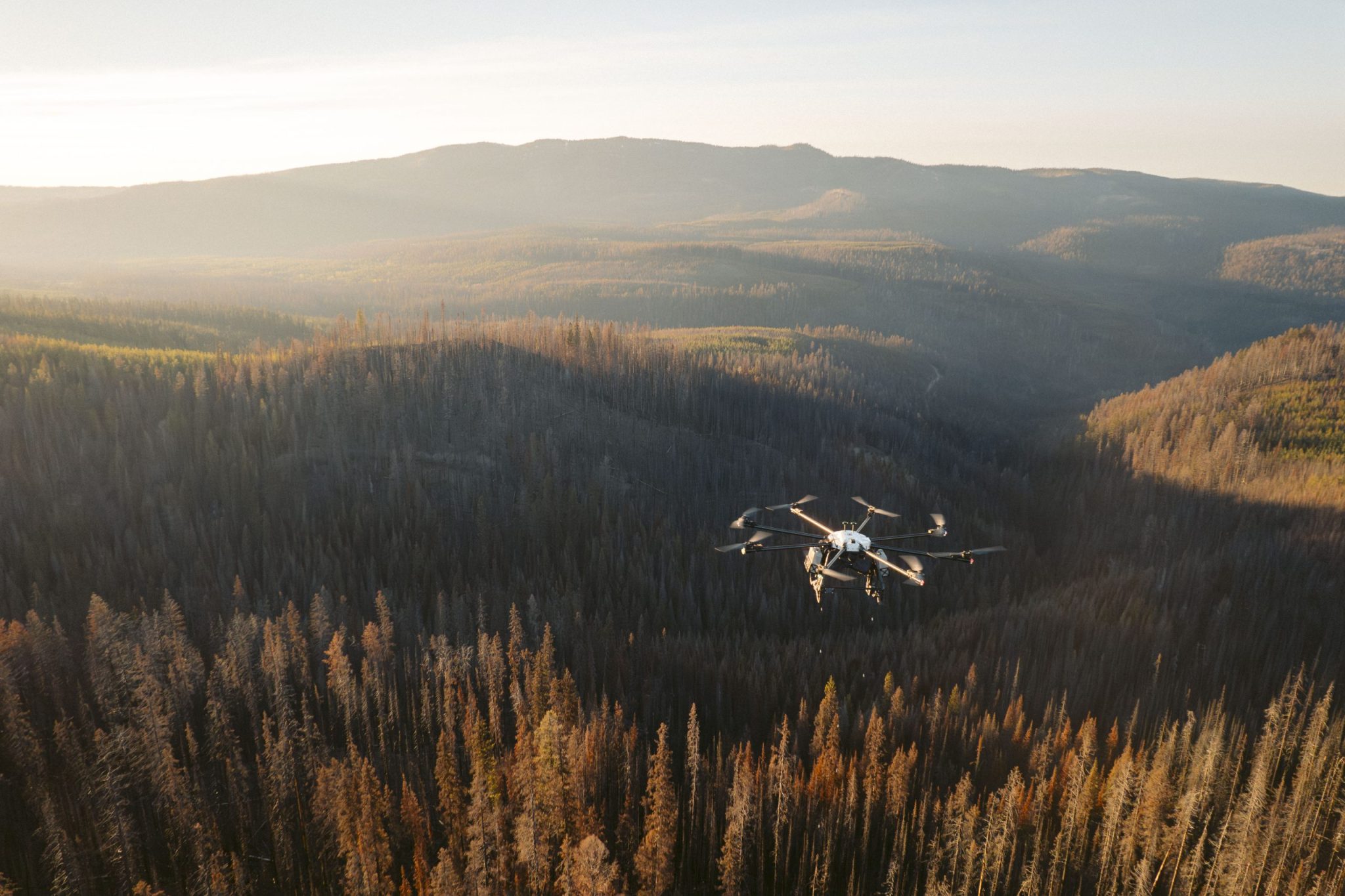 Canadian company uses drones to replant forests decimated by East ...