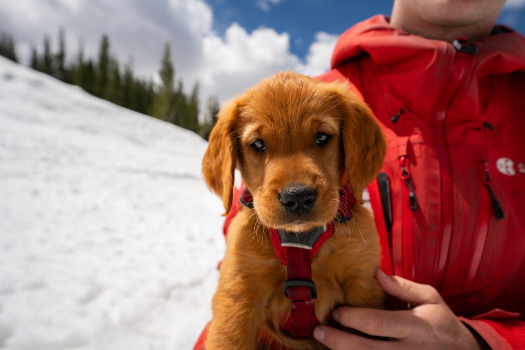 Copper Mountain Resort/Courtesy photo