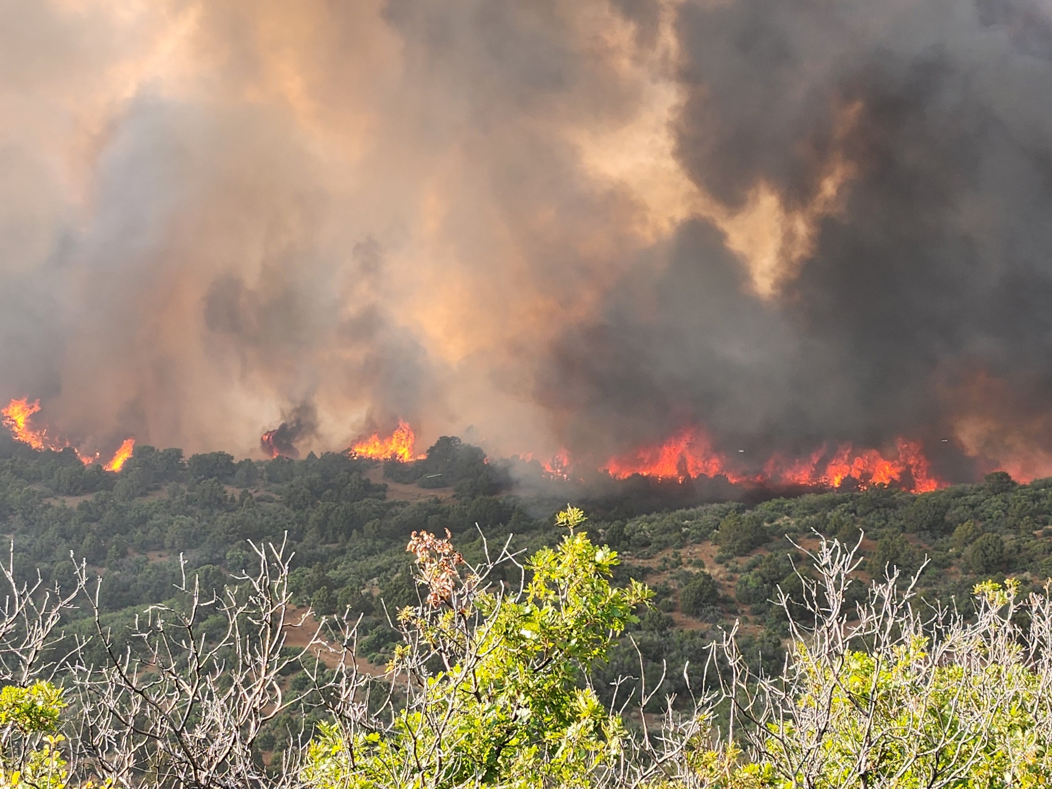 Wildfires destroy 2 homes near Buena Vista, close National Park as fire ...
