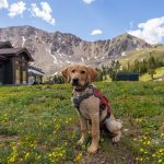 Lucas Herbert/Arapahoe Basin Ski Area