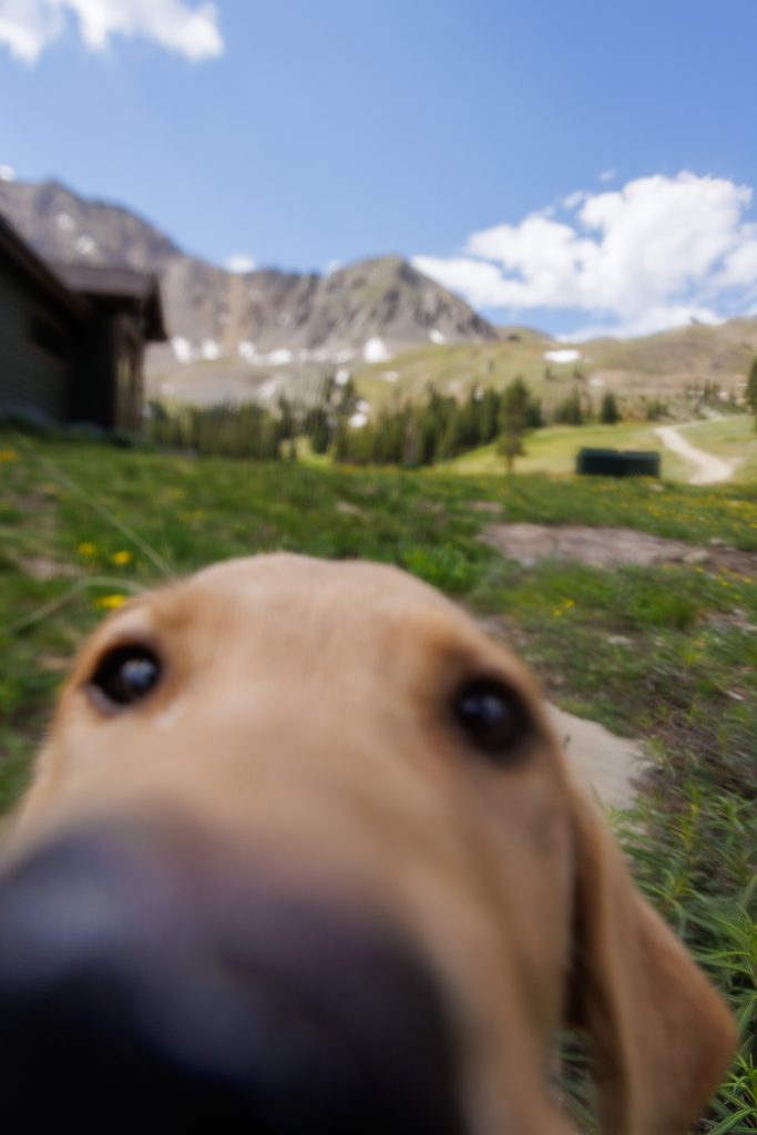 Lucas Herbert/Arapahoe Basin Ski Area
