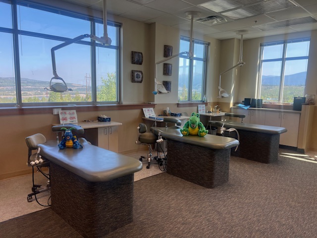 Ensuring Local Access to Pediatric Dental Care